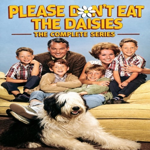 Please Don\'t Eat The Daisies The Complete Series DVD Case - Buy 2, Get 1 Free