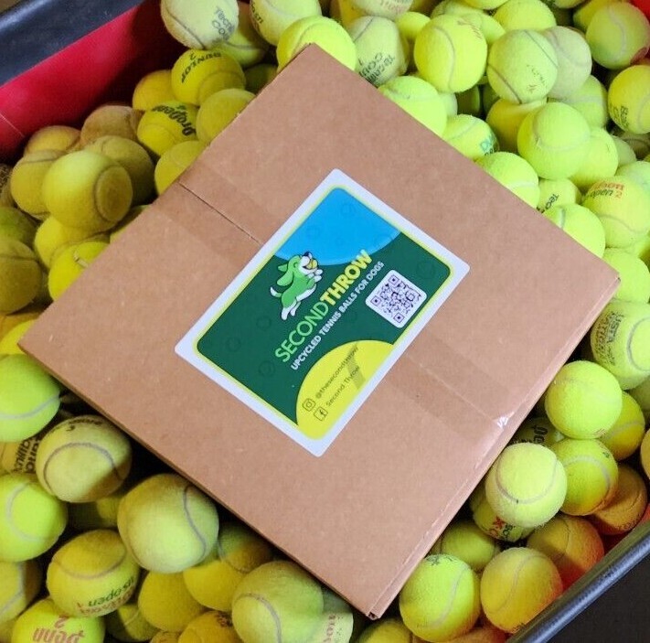 100 Used Tennis Balls - LOW COST DOG BALLS -  
