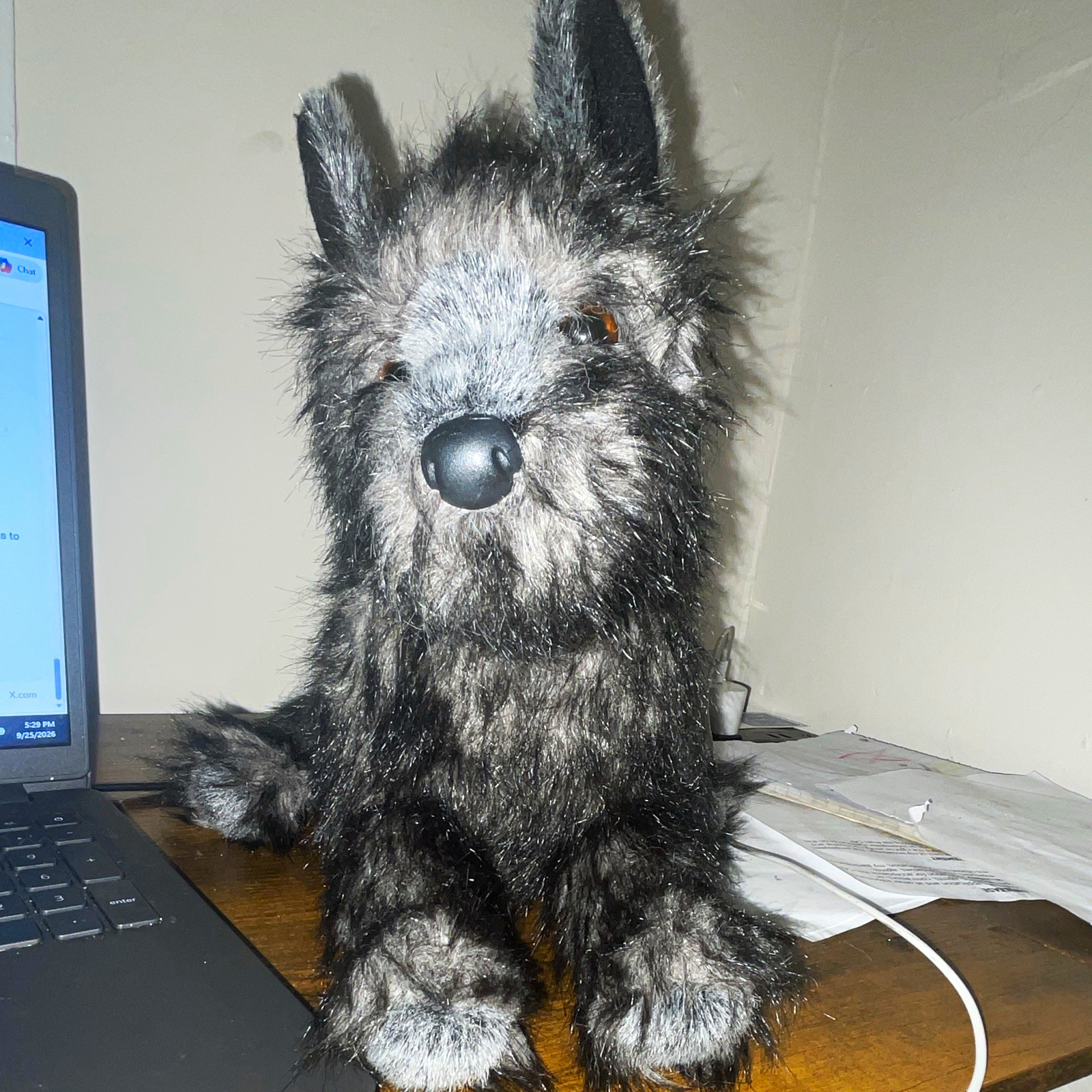 Douglas The Cuddle Cairn Terrier Plush Stuffed Animal