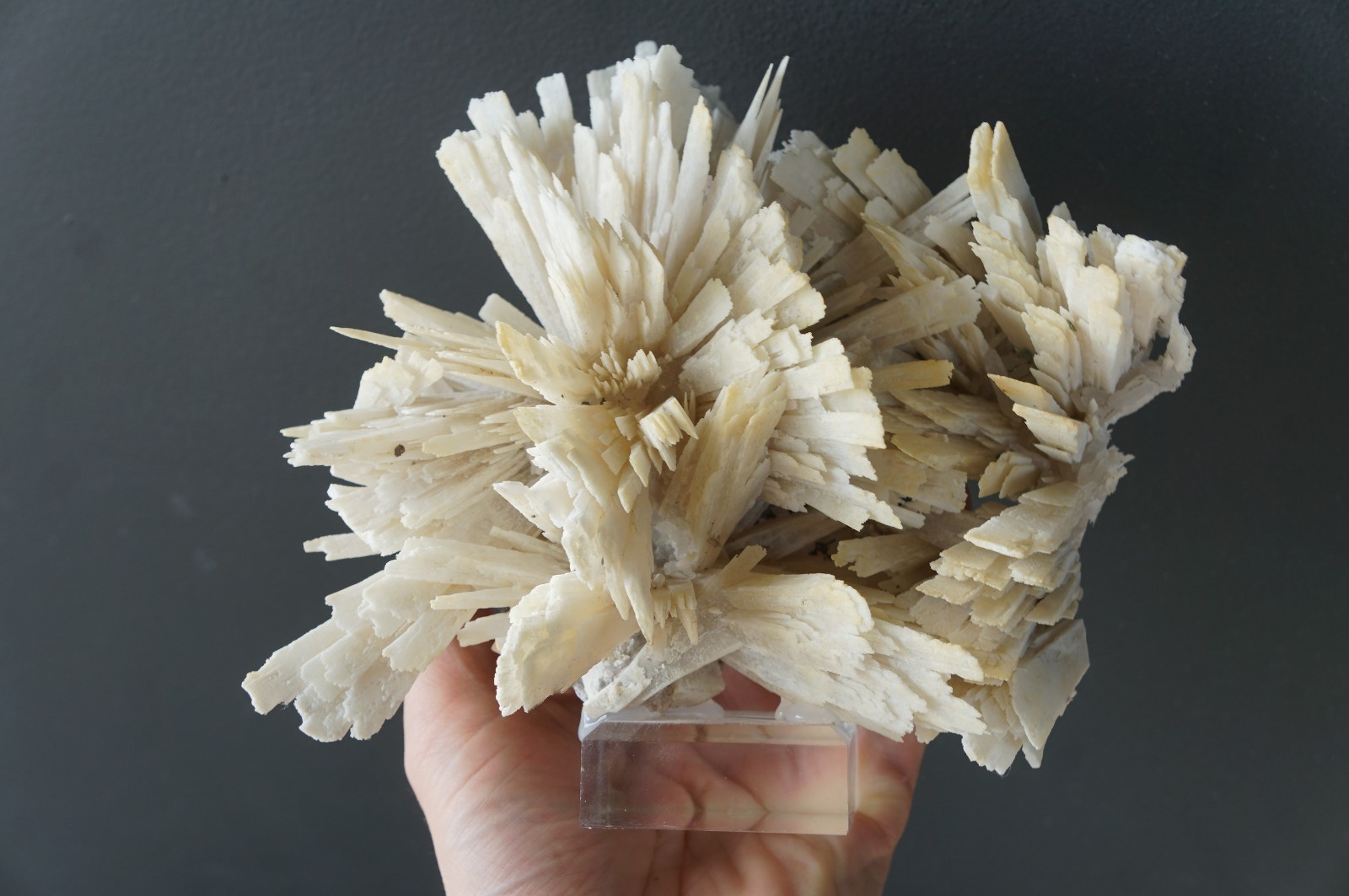 Extremely RARE Quartz Pseudomorph after anhydrite Mineral Specimen Specimens