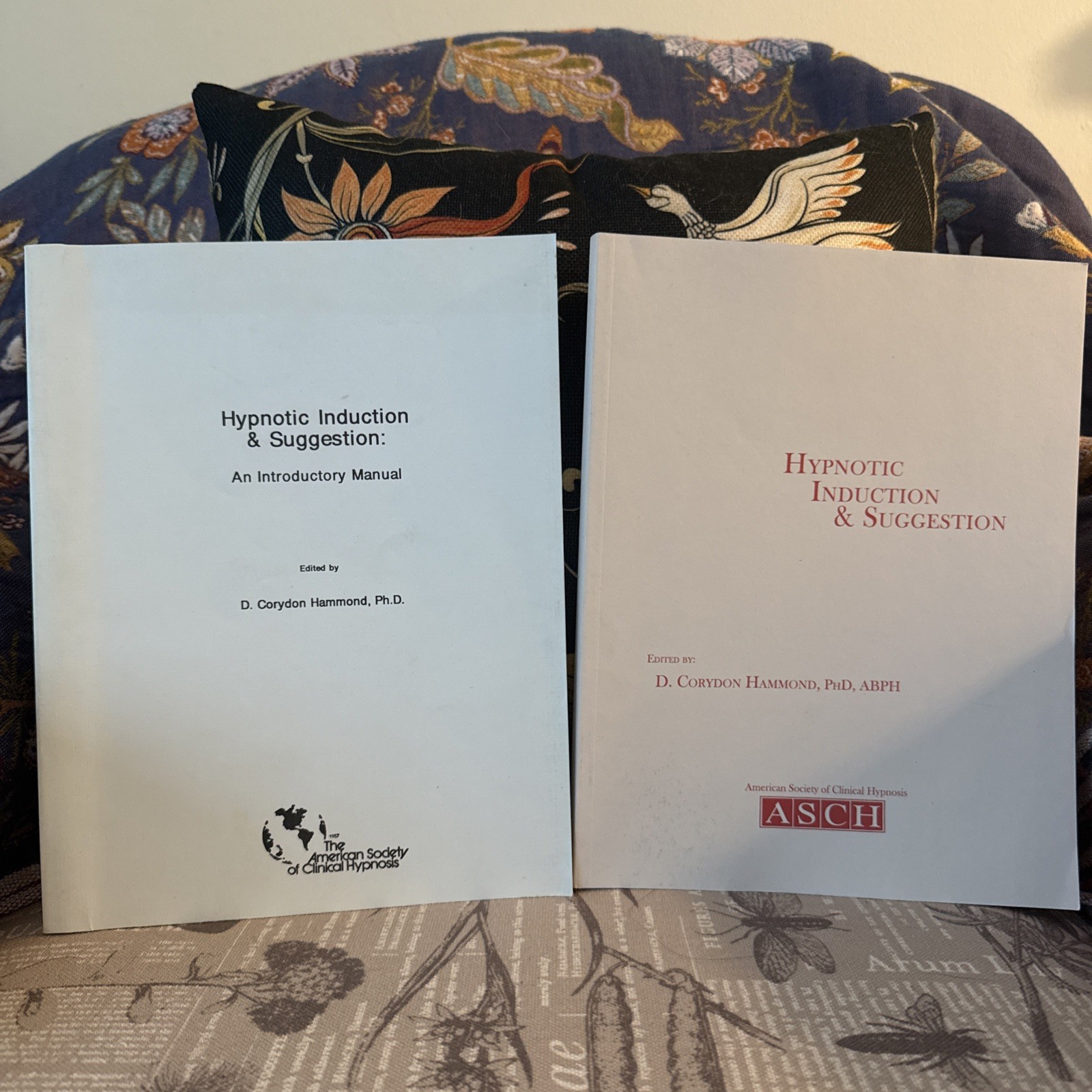 Hypnotic Induction & Suggestion Manuals (ASCH) D. Corydon Hammond Hypnosis Lot