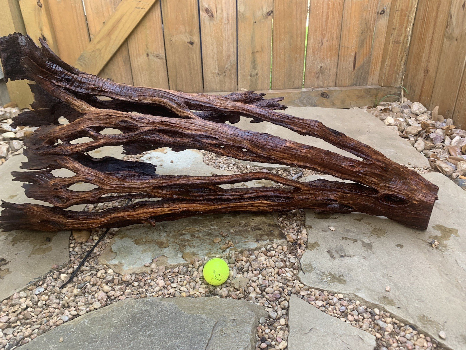 Natural sinking driftwood for aquarium/terrarium/arts and crafts Natural sinking driftwood for aquarium/terrarium/arts and crafts