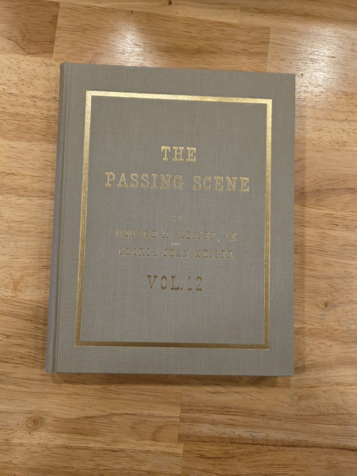 THE PASSING SCENE VOL 12 BY GEORGE M. MEISER GLORIA BERKS CO READING PA THE PASSING SCENE VOL 12 BY GEORGE M. MEISER GLORIA BERKS CO READING PA