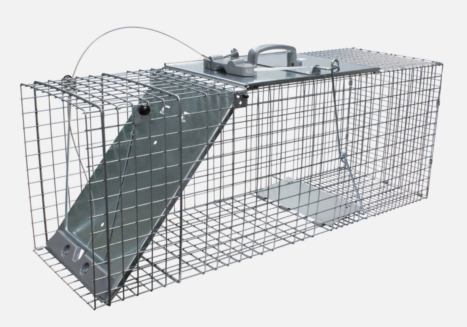 Easy Set Animal Trap Raccoons Cats Groundhogs Opossums Armadillos Havahart 1085 