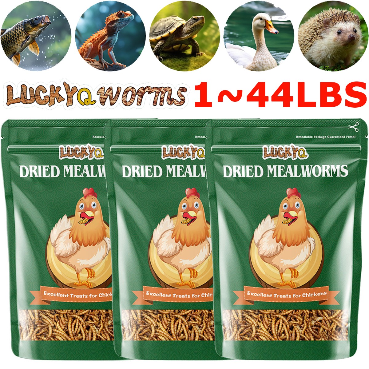 1-44Lbs Bulk Dried Mealworms Non-GMO Meal Treats for Wild Bird Chicken Hen LOT
