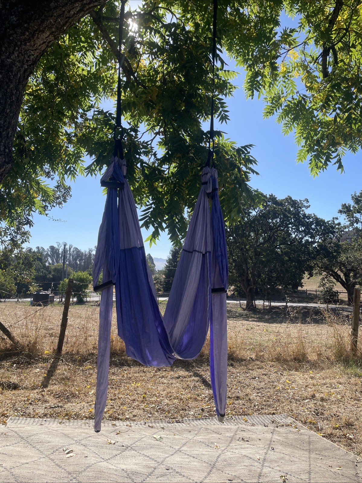 Yogabody Yoga Trapeze Inversion Swing Purple Adjustable Straps Home Outdoor Gym