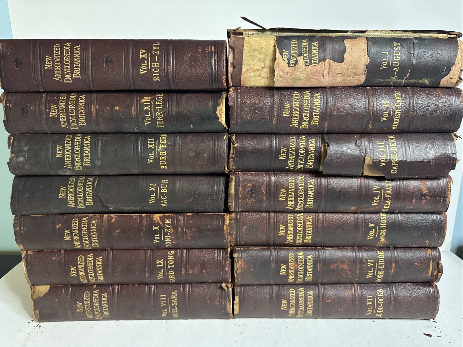 1890s New Americanized Encyclopedia Britanica Missing Volume 14 of 15