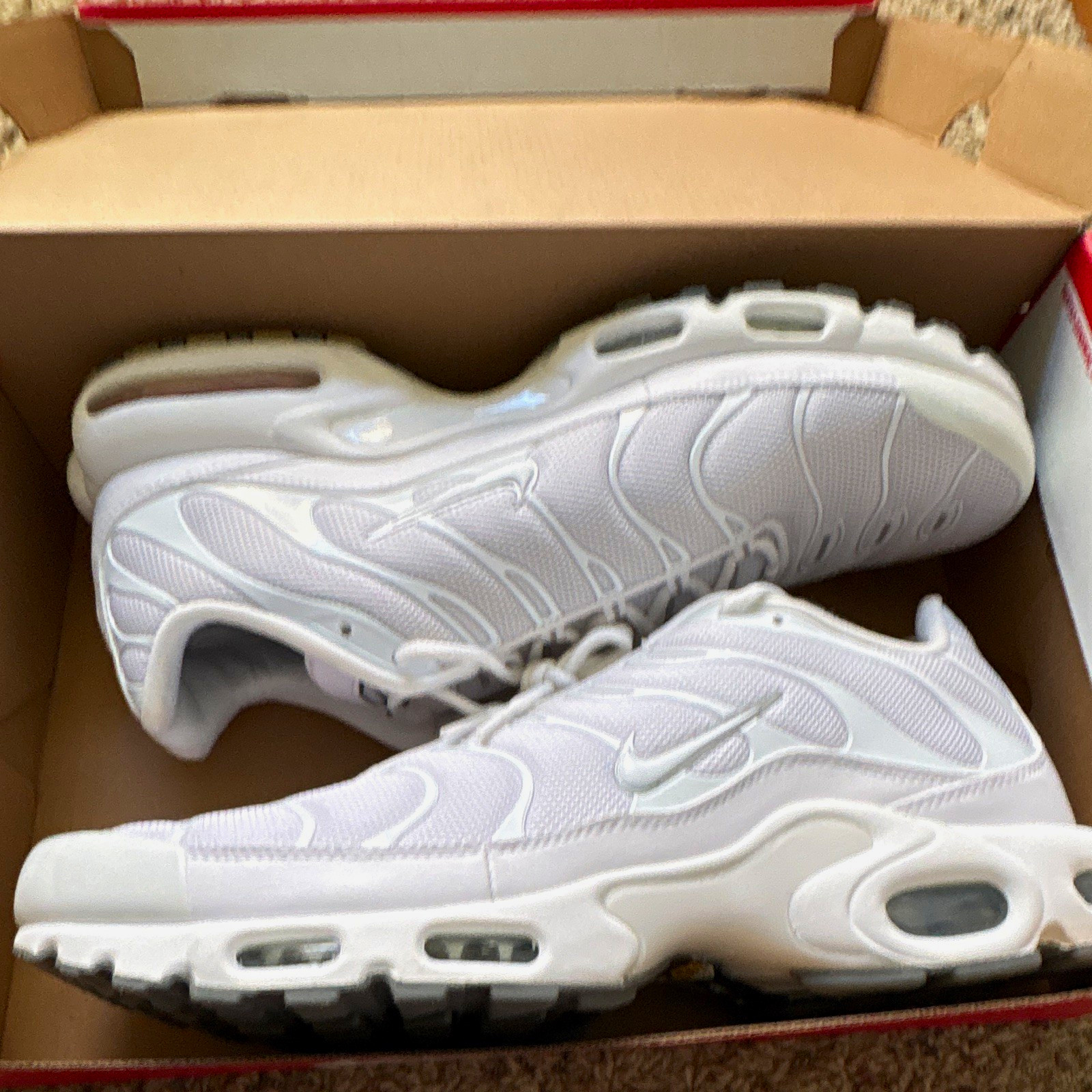 Nike Air Max Plus Men\'s Low Top Lace-Up Sneakers White/Black 2019 604133-139