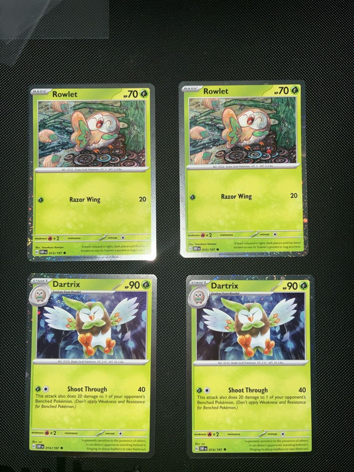 Rowlet 013/197 Cosmos Holo Tomokazu Komiya\'s Pokémon Artwork & Dartrix 014/197 Rowlet 013/197 Cosmos Holo Tomokazu Komiya\'s Pokémon Artwork & Dartrix 014/197