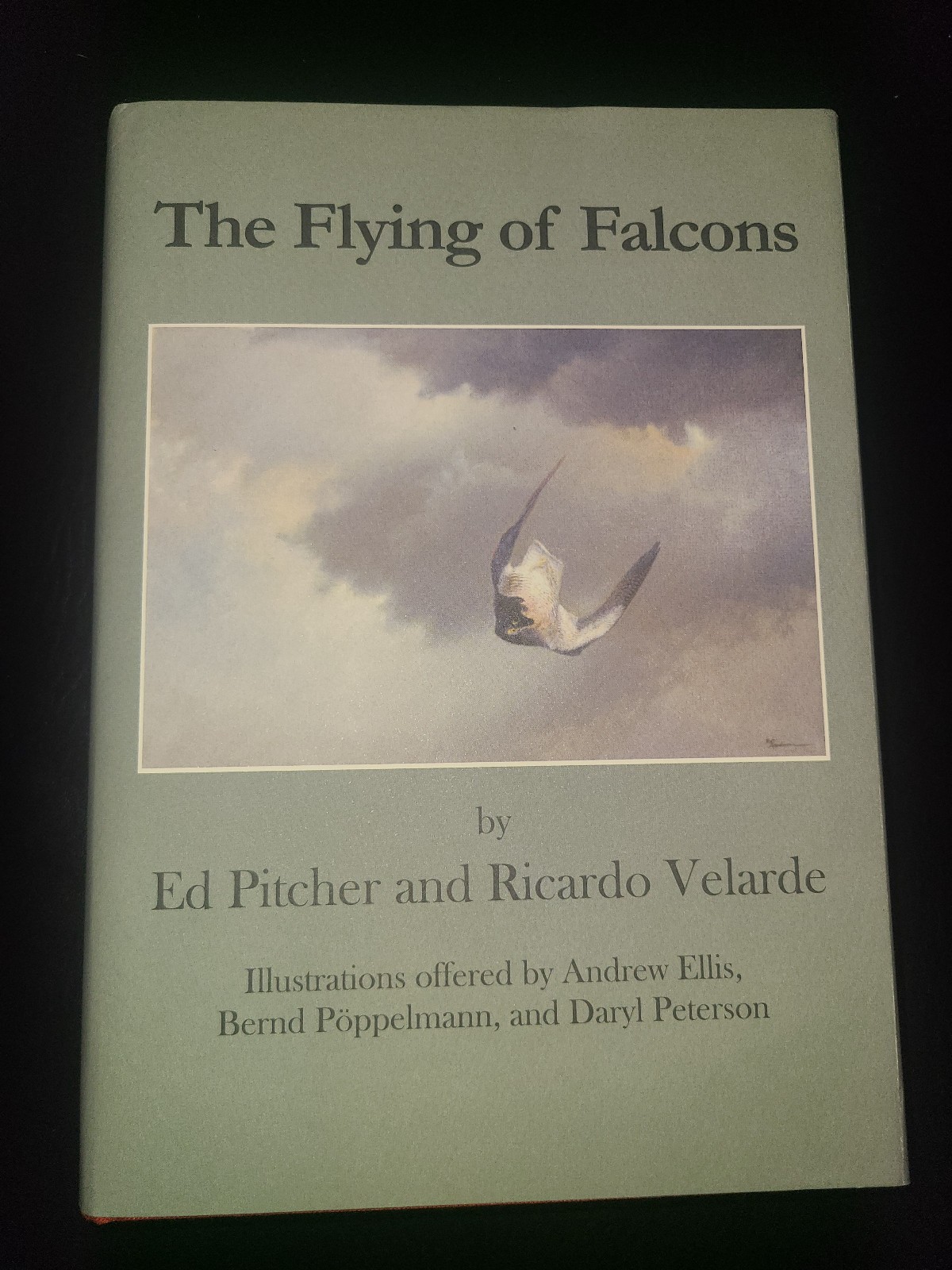 The Flying of Falcons by Ed Pilcher & Ricardo Velarde - Signed by both