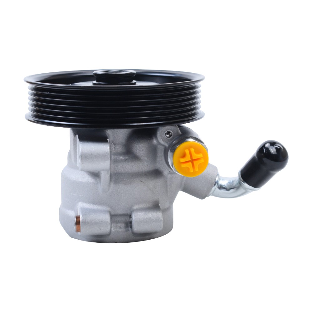 2S653A696CA For Ford Ecosport 1.6L 04-2012 New Power Steering Pump