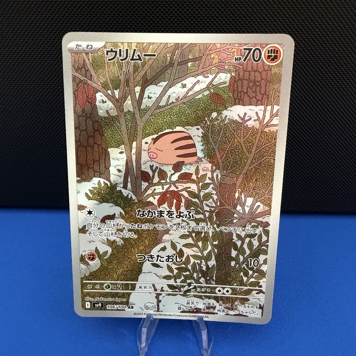 Swinub 106/100 AR Japanese Pokemon Card Near Mint Swinub 106/100 AR Japanese Pokemon Card Near Mint
