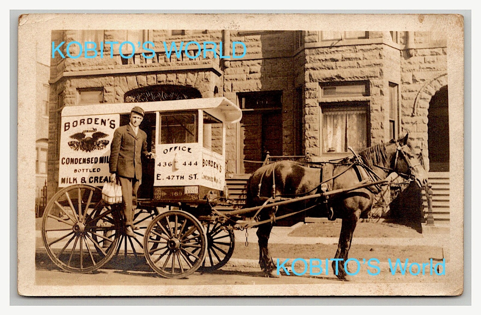 RPPC Horse Drawn Milk Delivery Wagon Borden's Condensed Milk MARENGO IL & worker