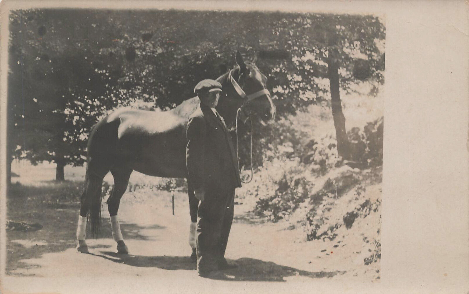 MAN WITH PRIZED HORSE REAL PHOTO POSTCARD UNKNOWN LOCATION 1910 RPPC