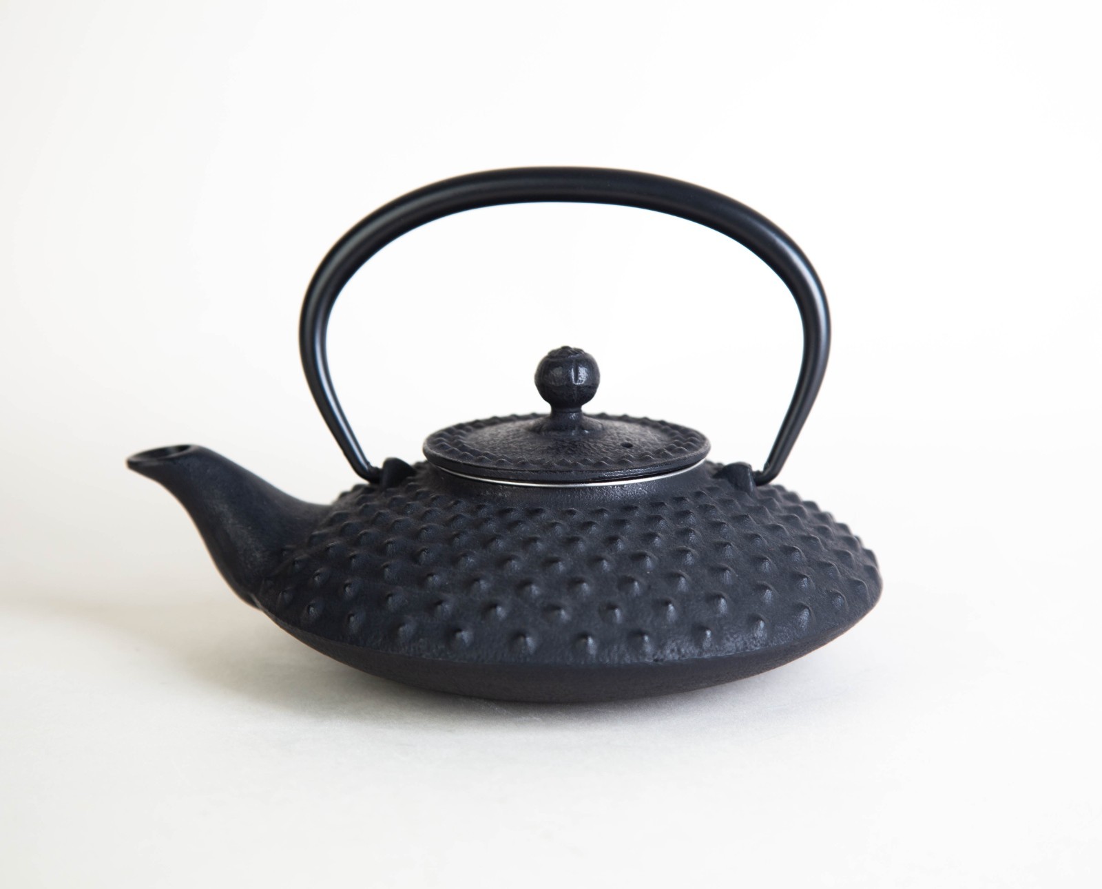 Iwachu Nambu Black Cast Iron Teapot with Strainer Morioka Japan