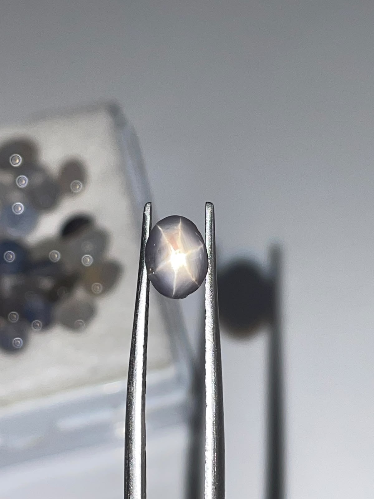 Natural Unheated Sri Lanka Star Sapphire Oval 2.18 Ct 6x8mm Six Ray Star Loose