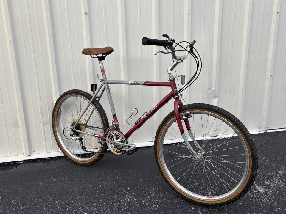 Vintage Old School Skyway MTB Bike (Super Rare) Vintage Old School Skyway MTB Bike (Super Rare)