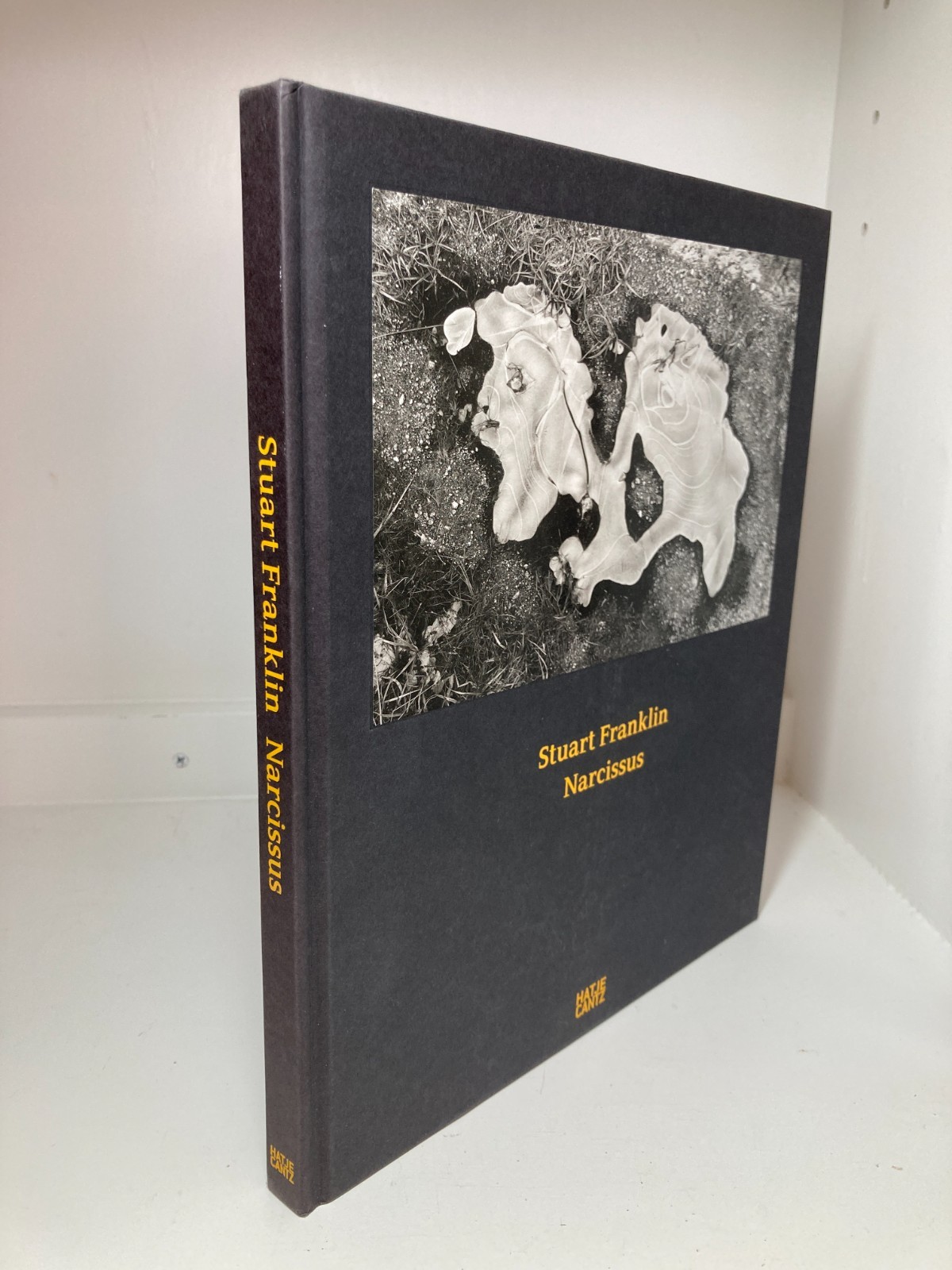 Stuart Franklin: Narcissus Magnum Photo Book Hatje Cantz LIKE NEW 2013 Stuart Franklin: Narcissus Magnum Photo Book Hatje Cantz LIKE NEW 2013