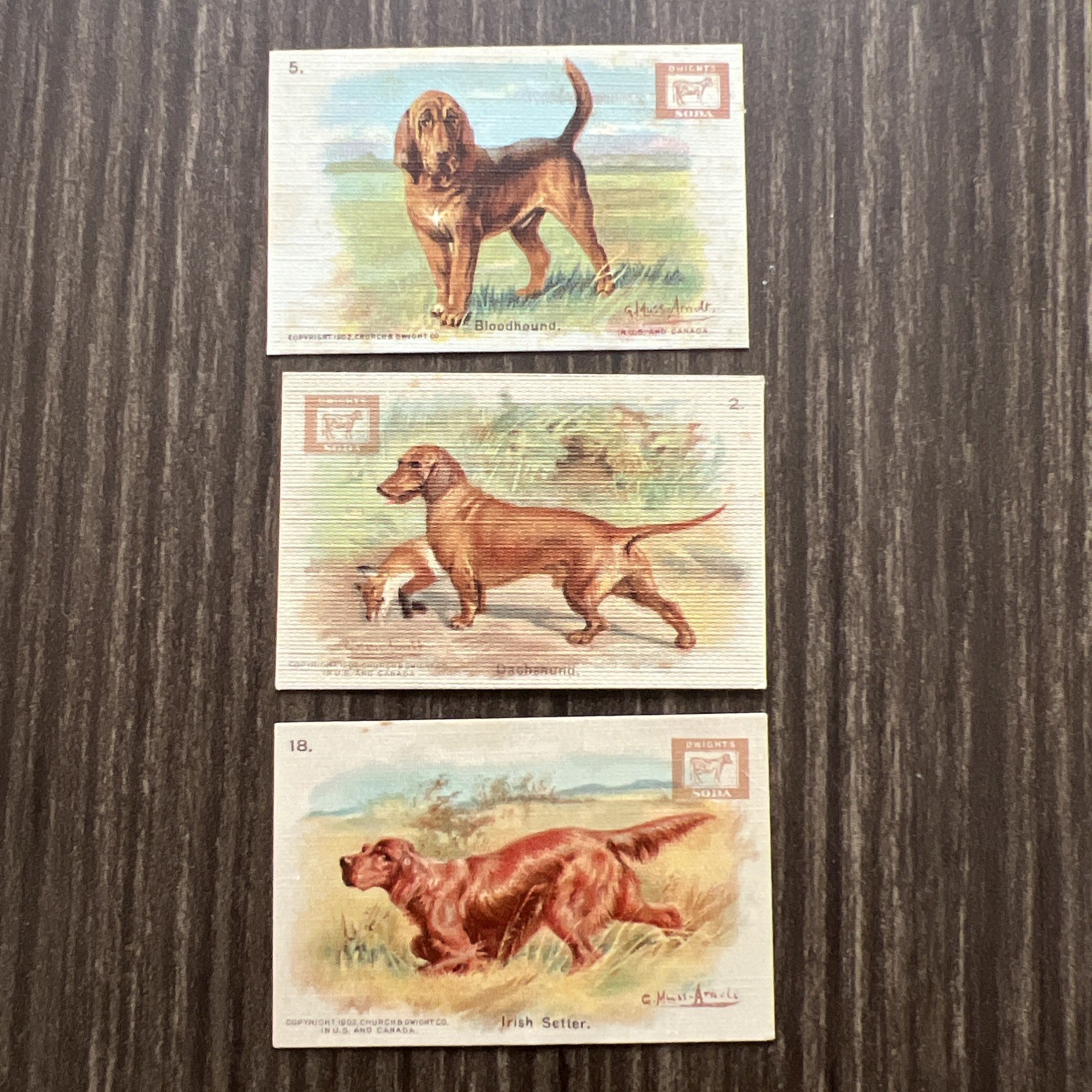 3 Vintage Dwight\'s Soda Champion Dog Series Trade Card 2, 5, 18 Bloodhound 3 Vintage Dwight\'s Soda Champion Dog Series Trade Card 2, 5, 18 Bloodhound