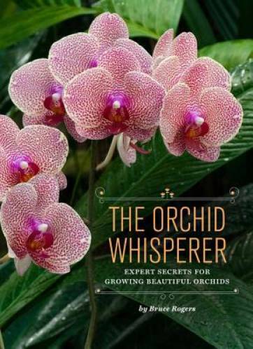 The Orchid Whisperer: Expert Secrets for Growing Beautiful Orchids - GOOD The Orchid Whisperer: Expert Secrets for Growing Beautiful Orchids - GOOD