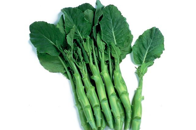 1000 Big Stem Chinese Broccoli Seeds Non-GMO Heirloom 