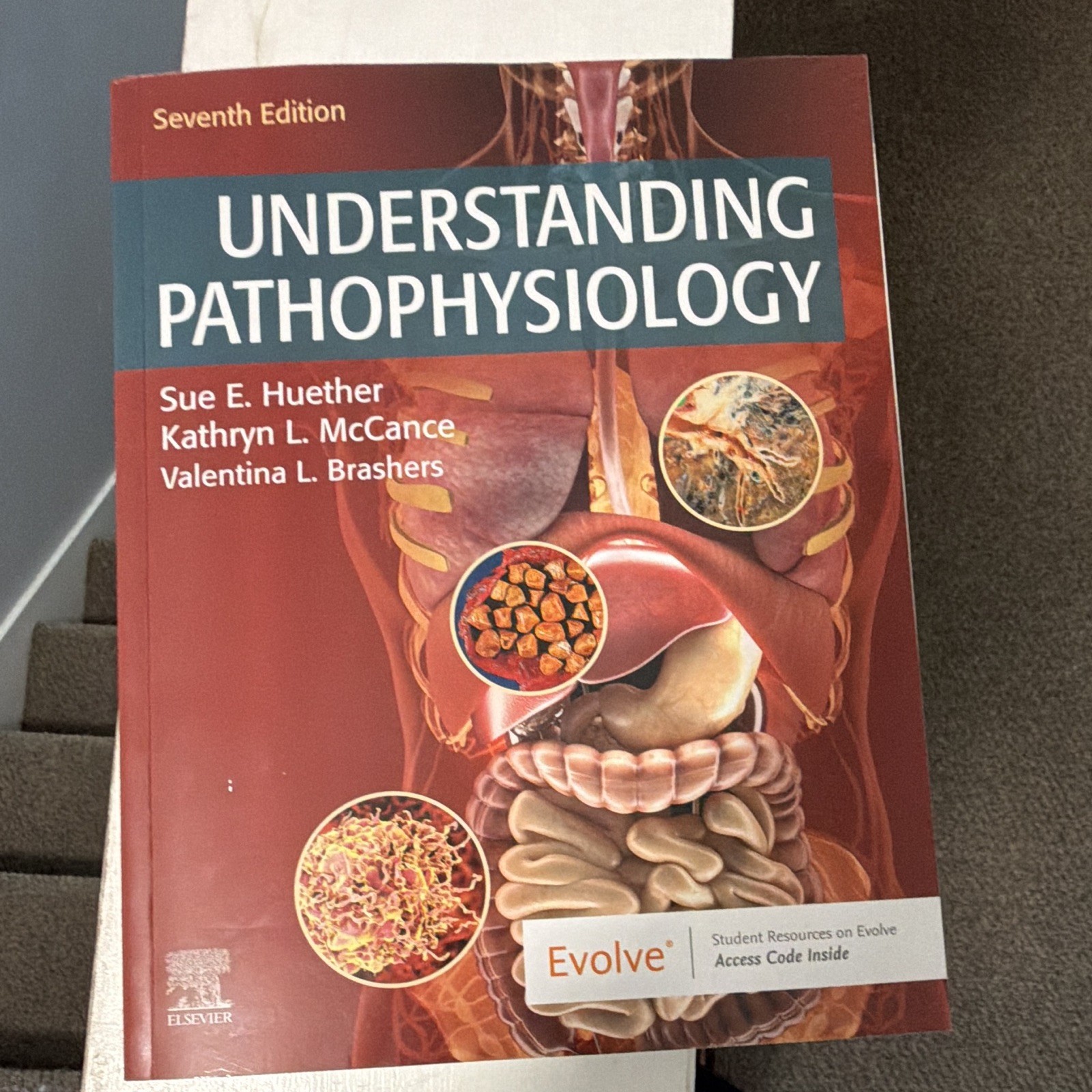 Elsevier Understanding Pathophysiology 7th Ed Paperback 2019 Huether McCance Elsevier Understanding Pathophysiology 7th Ed Paperback 2019 Huether McCance