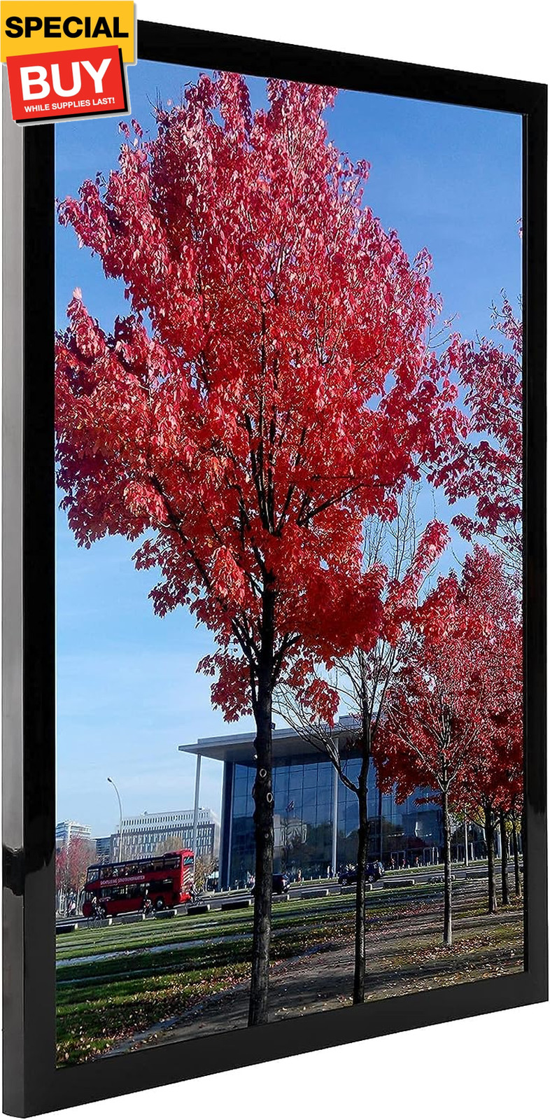 12X16 Picture Frame Black Display Pictures 12\ 12X16 Picture Frame Black Display Pictures 12\