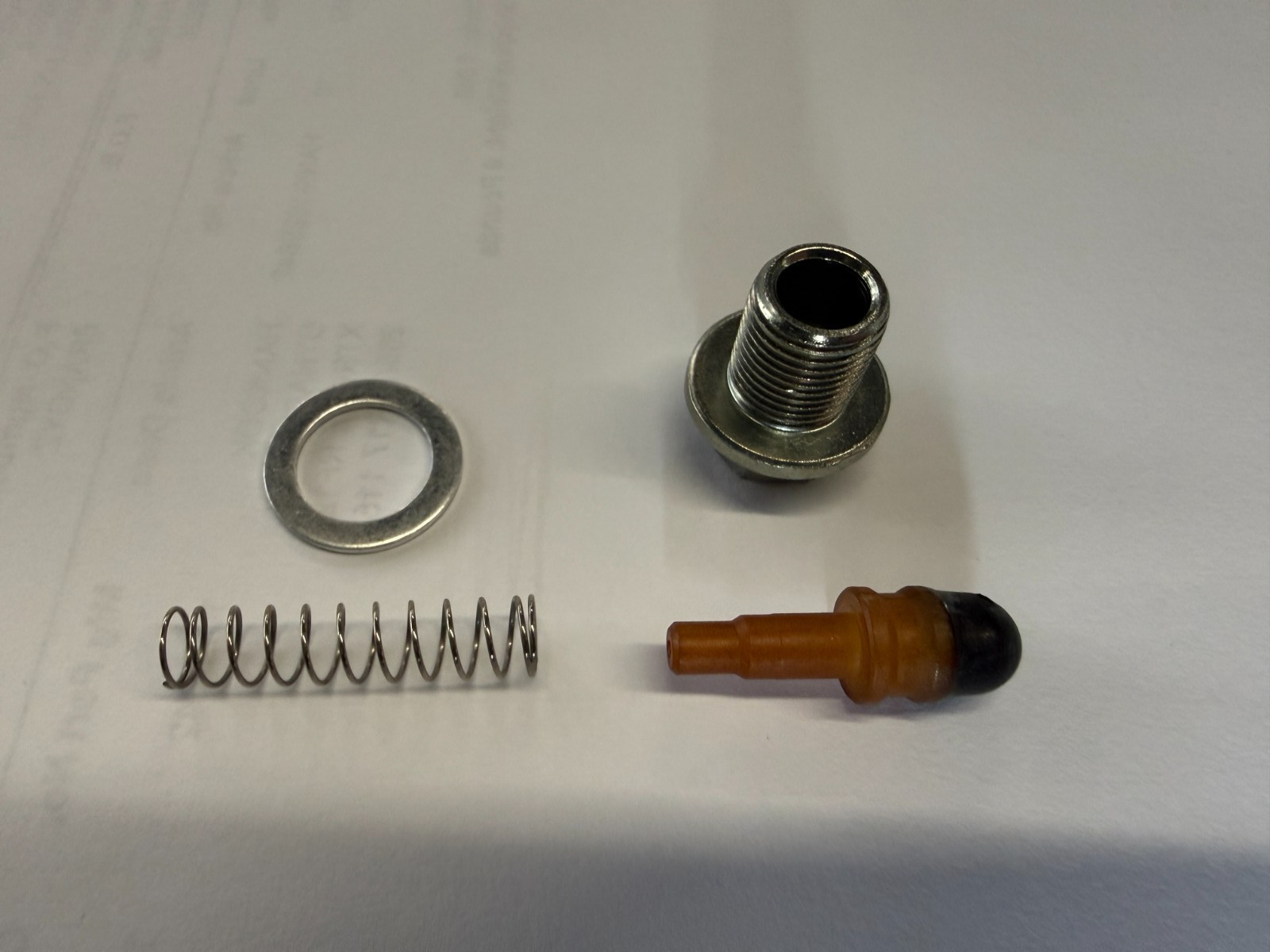 POLARIS ONE WAY VALVE 3086810