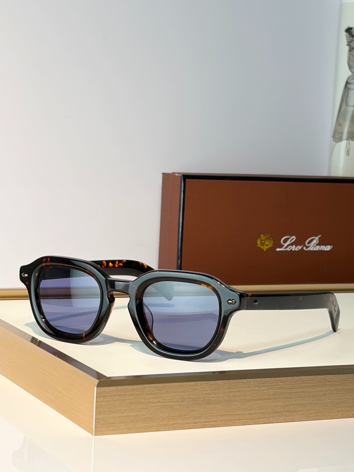 Loro Piana Style Unisex Sunglasses - MODEL: ANDRE SIZE：47口25-150