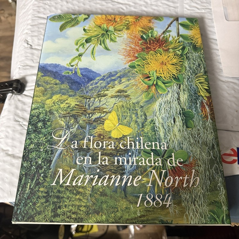 La flora chilena en la mirada de Marianne North 1884