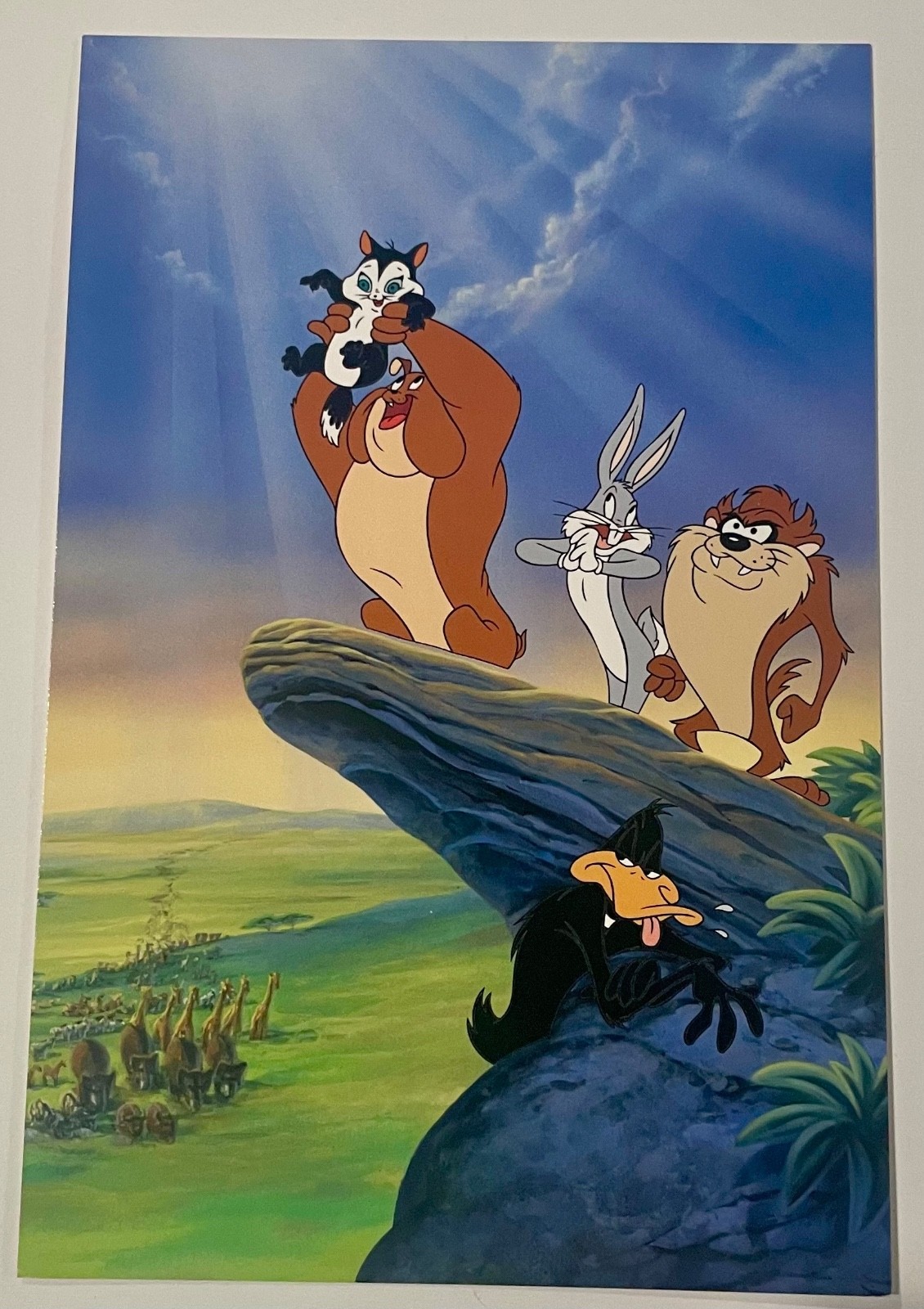 Disney The Lion King Gallery Promo Card Circle Of Life