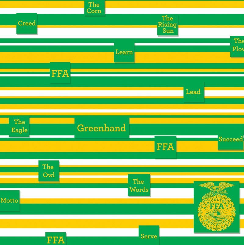 Future Farmers of America FFA Scrapbook Papers CHOOSE FROM 3 items