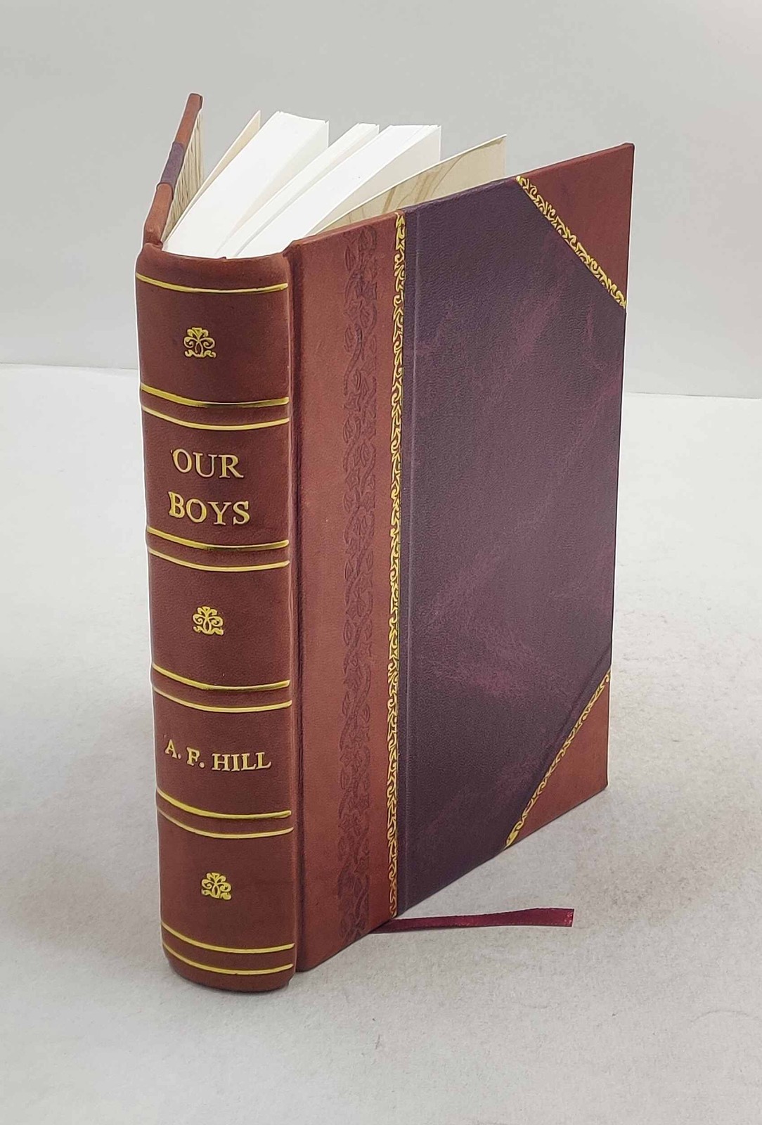 Our boys The personal experiences of a soldier in the Army of th [Leather Bound]