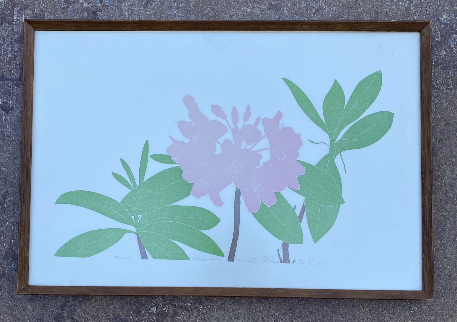 Vintage Rhododendron By Henry Evans Limited Edition, MCM Washington State