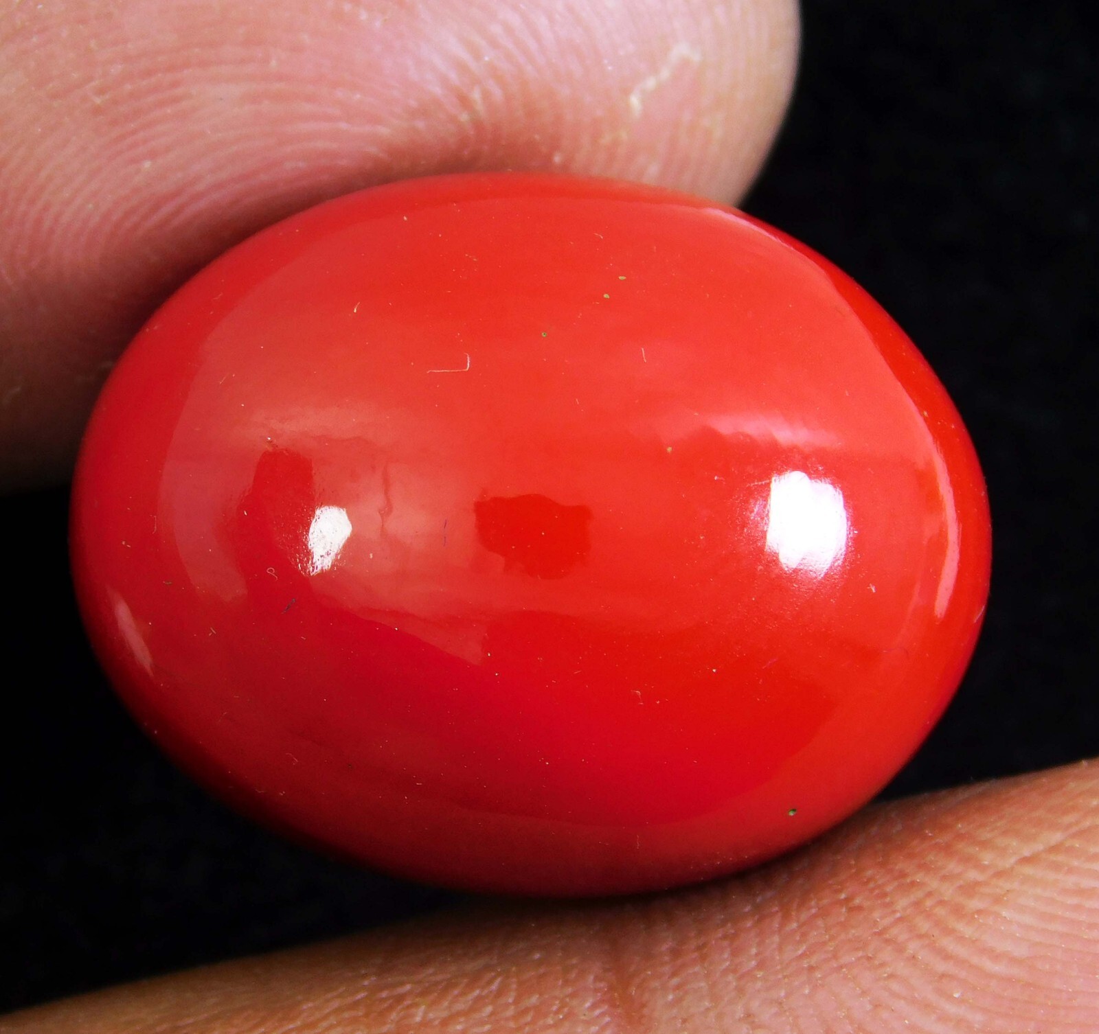 AAA+ Natural Red Coral 42.75 CT Oval Cabochon Cut Italian Loose Gemstone AAA+ Natural Red Coral 42.75 CT Oval Cabochon Cut Italian Loose Gemstone