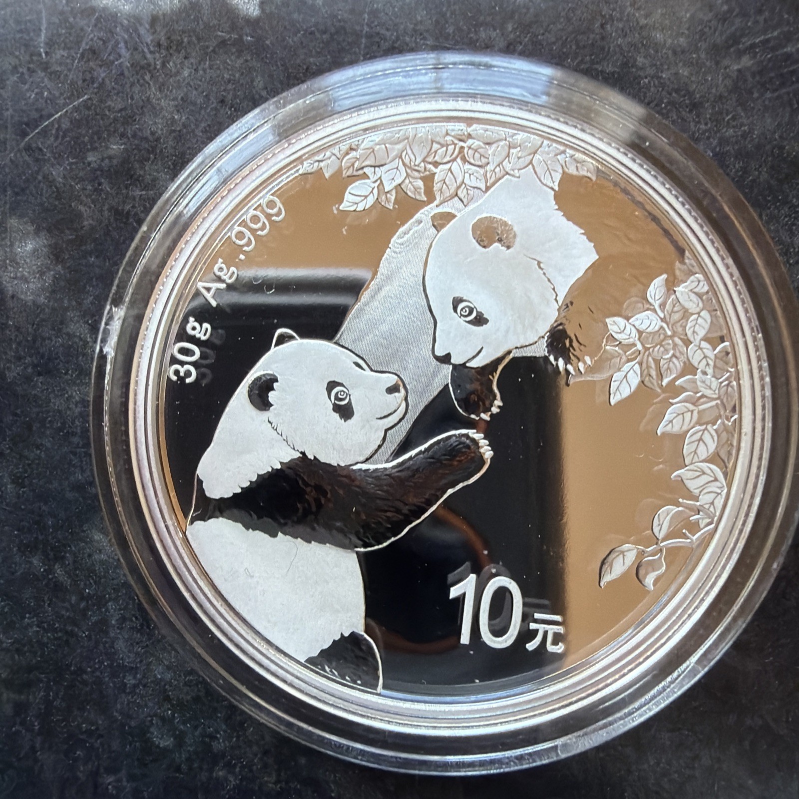 2023 CHINA SILVER PANDA – 30g .999 FINE SILVER- 10 Yuan - In Capsule 2023 CHINA SILVER PANDA – 30g .999 FINE SILVER- 10 Yuan - In Capsule