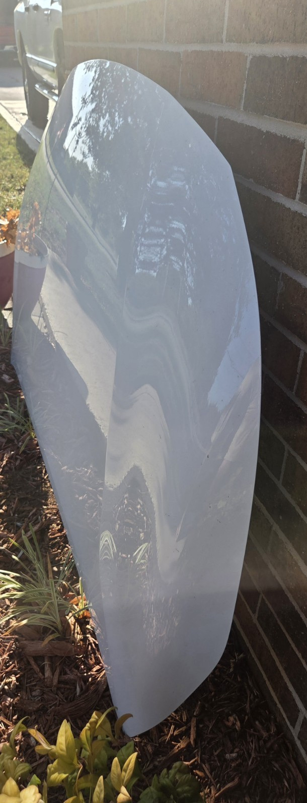 2019 To 2025 White Toyota Corolla Hood.