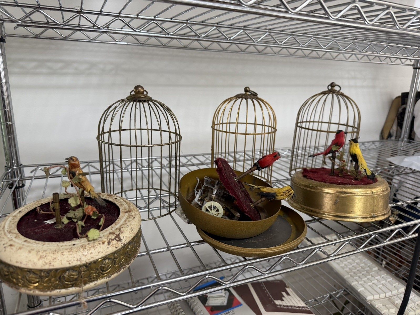 ANTIQUE GERMAN SINGING BIRD CAGE MUSIC BOX AUTOMATION PARTS LOT ANTIQUE GERMAN SINGING BIRD CAGE MUSIC BOX AUTOMATION PARTS LOT