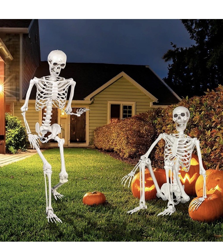 5ft Giant Halloween Human Skeleton Poseable Full Life Size Decoration Party Prop 5ft Giant Halloween Human Skeleton Poseable Full Life Size Decoration Party Prop