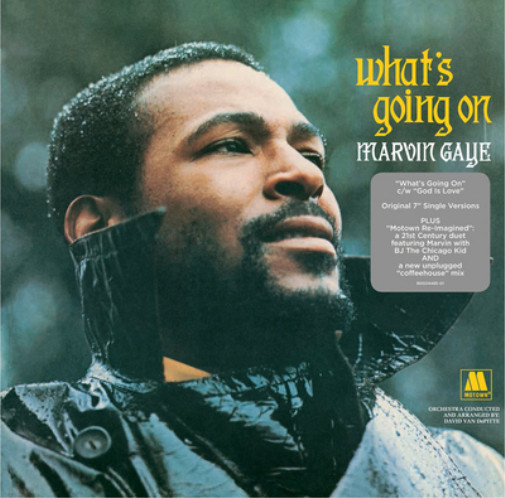 Marvin Gaye What\'s Going On (Vinyl) 10\ Marvin Gaye What\'s Going On (Vinyl) 10\