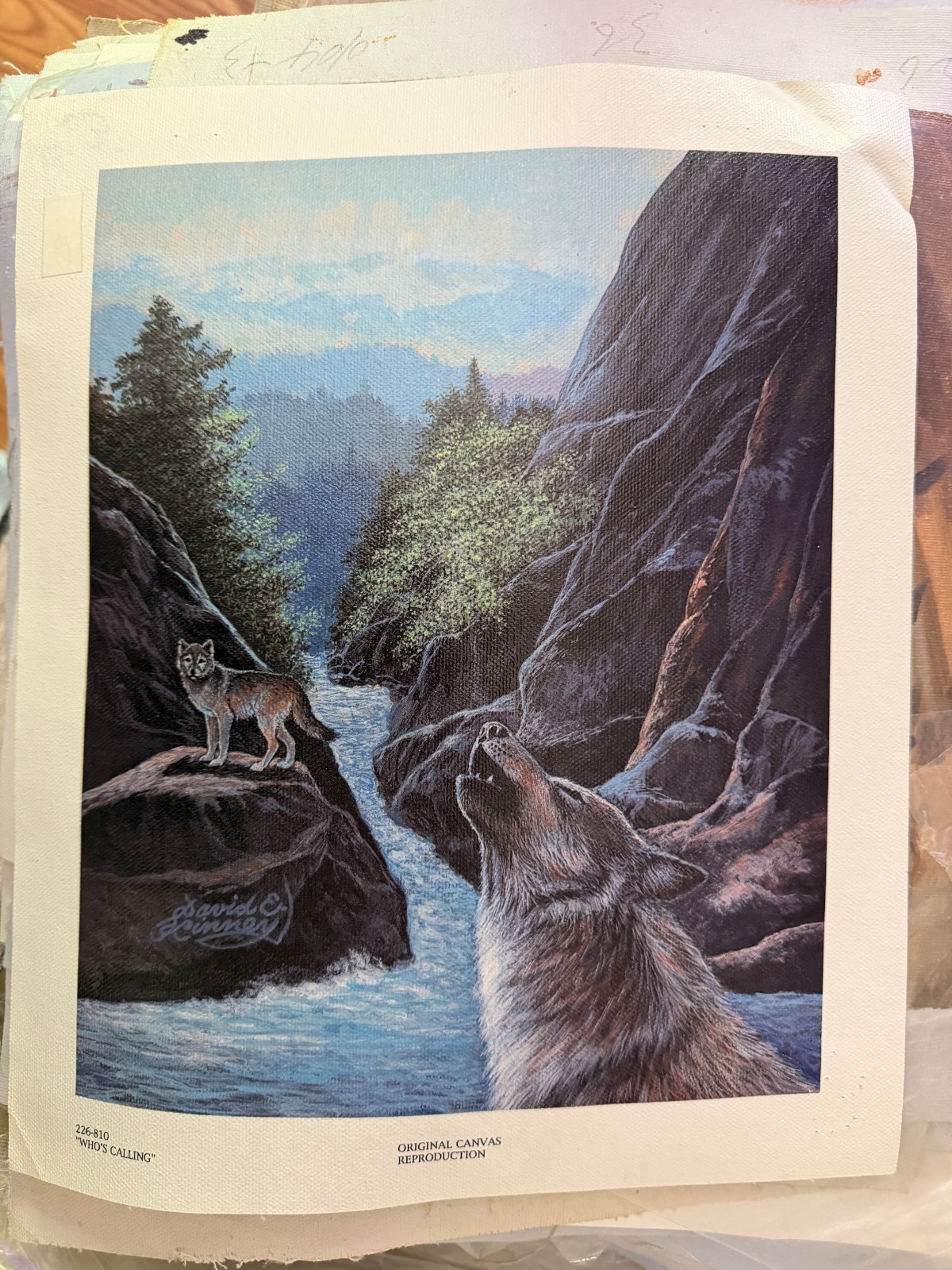 Vintage Wolves Howling Canyon Wilderness River Decorative PRINT Art