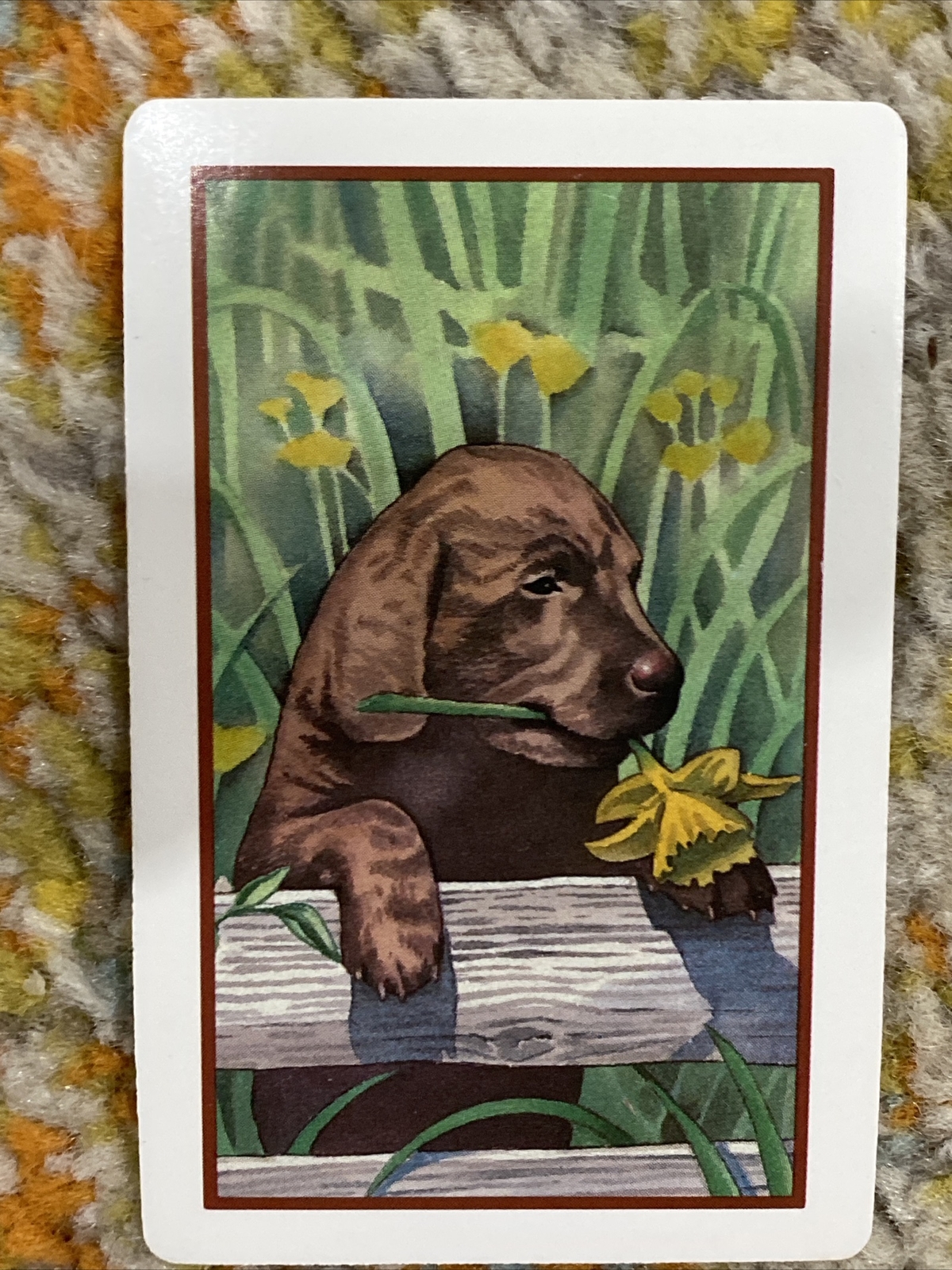 Vtg Single Swap Playing Card Chocolate Labrador Retriever Puppy Brown Lab Spring