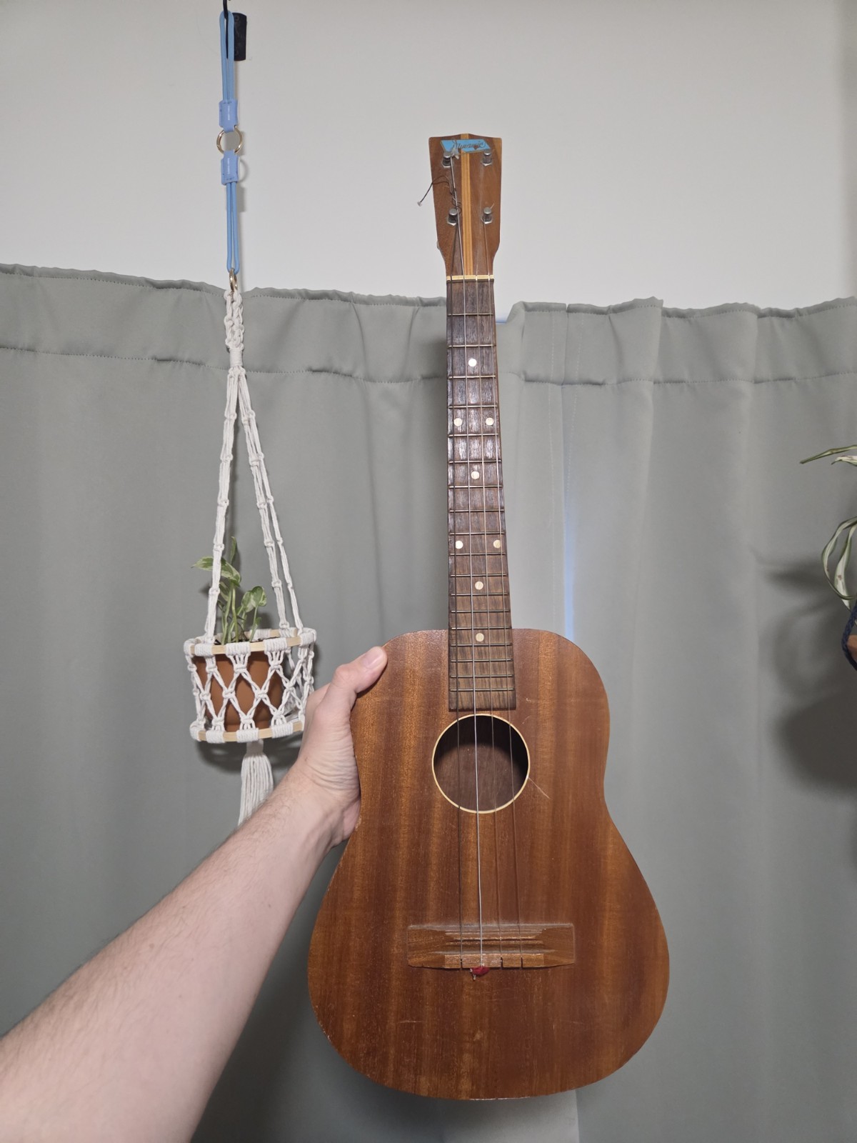 Vintage Dynamic 1950s Tenor Ukulele Made In Japan