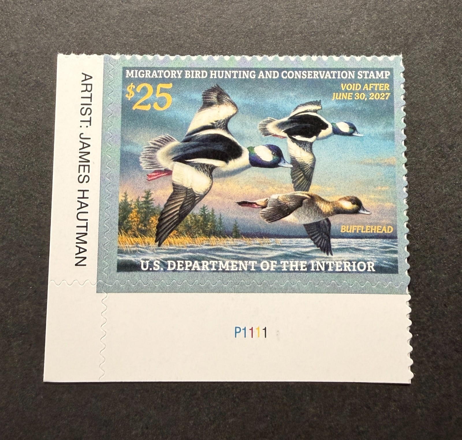 WTDstamps - #RW93 2026 - Federal Duck Stamp - Mint OG NH **Lower Left Plate#** WTDstamps - #RW93 2026 - Federal Duck Stamp - Mint OG NH **Lower Left Plate#**