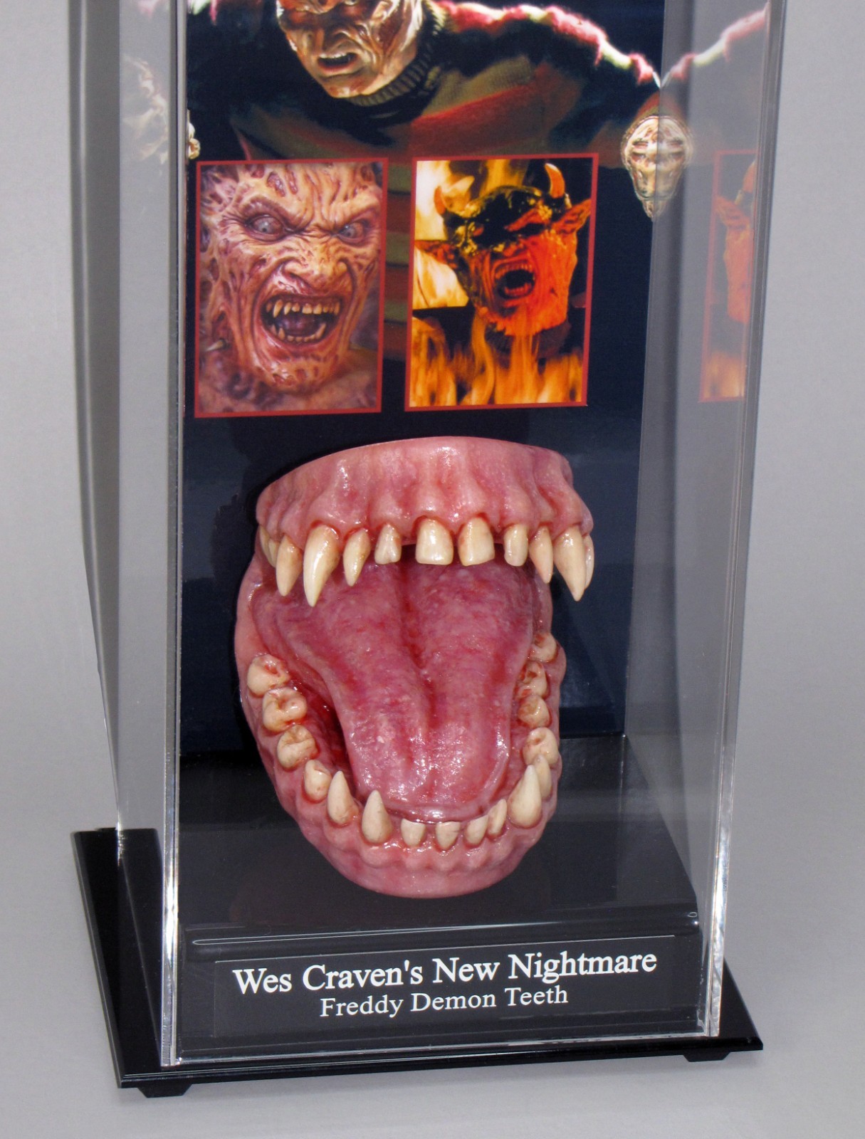 A Nightmare on Elm Street 7 Freddy Krueger Demon teeth Film Prop Display & COA
