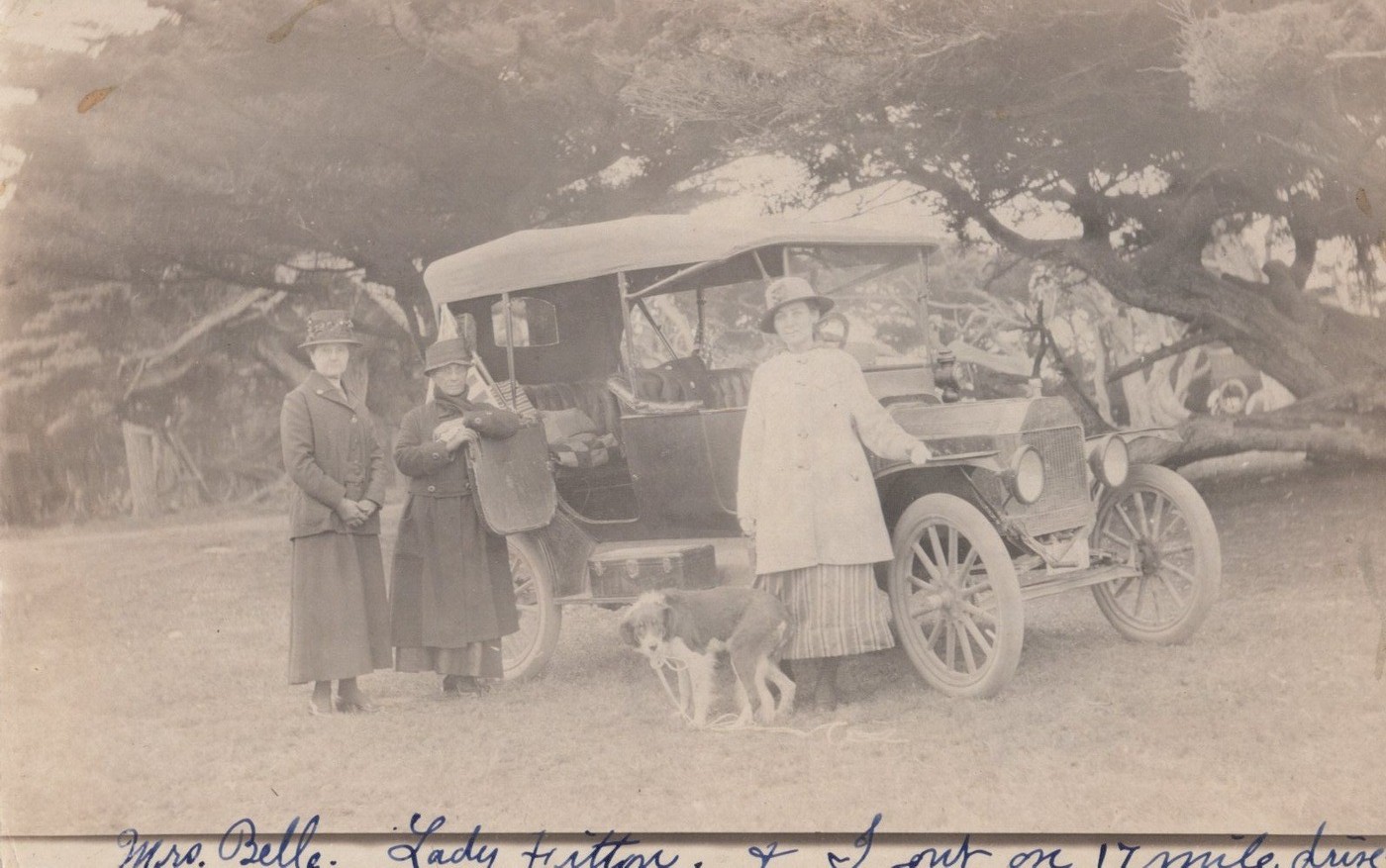 17 Mile Drive Monterey CA Ford Model T Cypress Tree 1915 - RPPC Photo Postcard