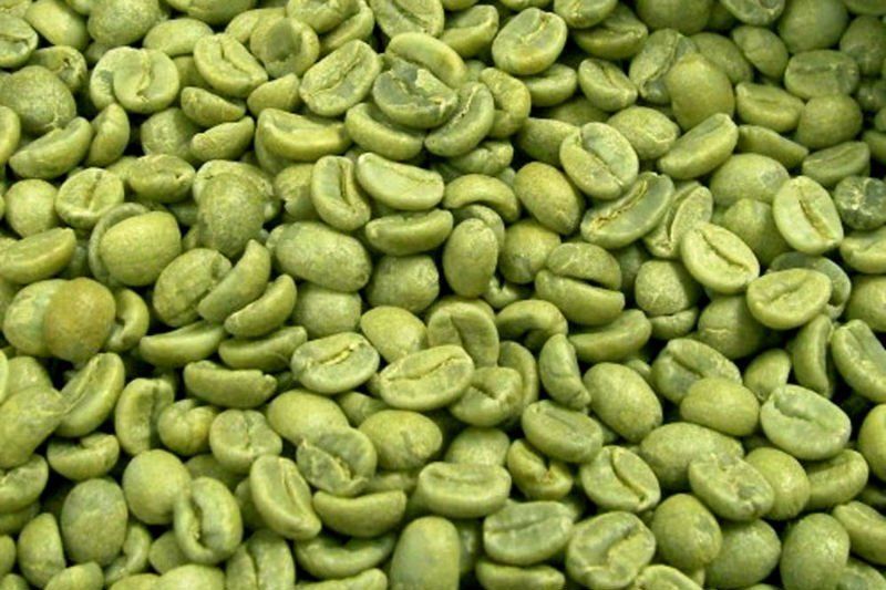 UNROASTED EXTRA FANCY HAWAIIAN KONA Coffee Beans Authentic Prime 20 Pounds