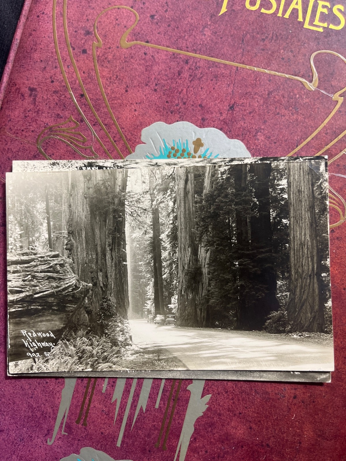 Redwood Highway California Real Photo Postcard RPPC Giant Trees Scenic Road Redwood Highway California Real Photo Postcard RPPC Giant Trees Scenic Road
