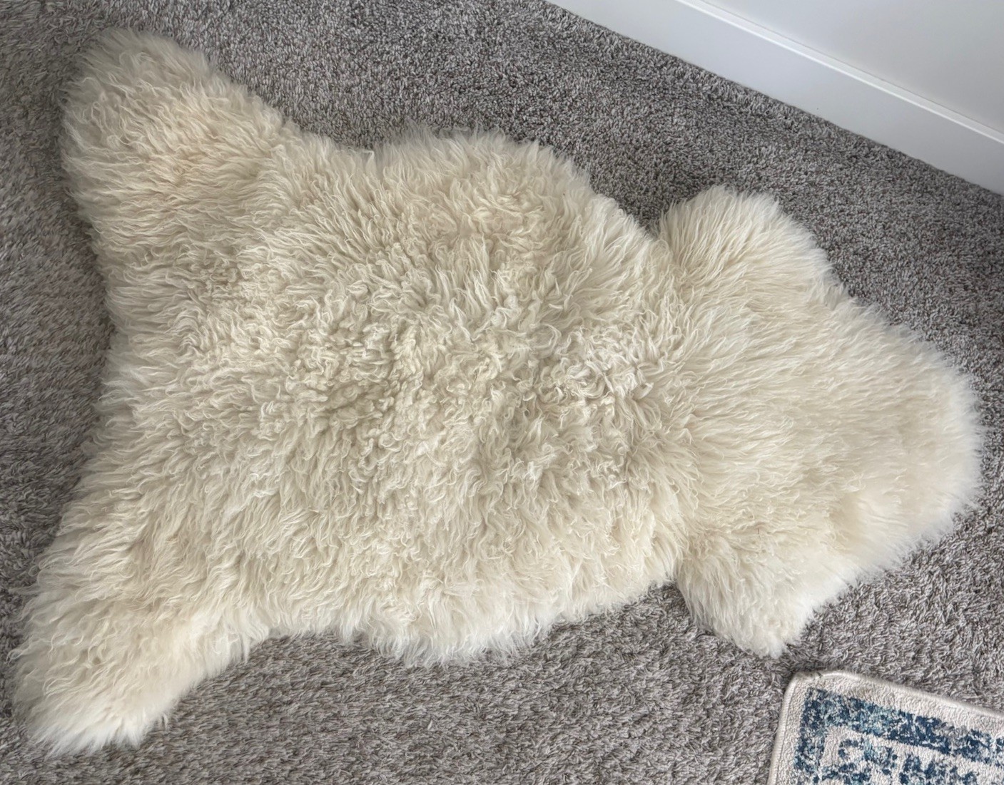 Genuine Irish sheepskin Rug Purchased in Ireland Genuine Irish sheepskin Rug Purchased in Ireland