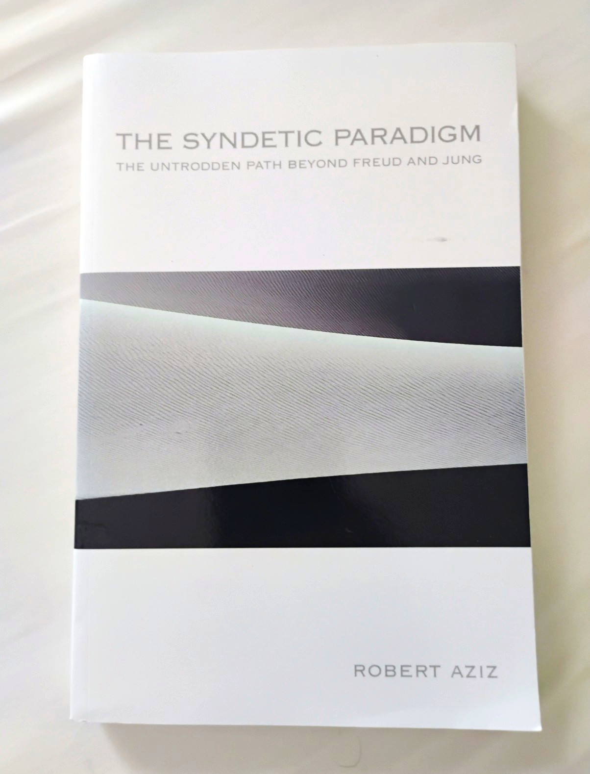 The Syndetic Paradigm Beyond Freud & Jung Robert Aziz Paperback SUNY Press The Syndetic Paradigm Beyond Freud & Jung Robert Aziz Paperback SUNY Press